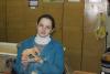 <img src='45a' alt='Экзаменационная сессия' />