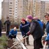 <img src='154' alt='subbotnik'>