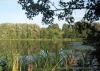 <img src='g' alt='fotoplener'>