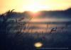 <img src='g' alt='fotoplener'>