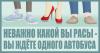 <img src='img' alt='Международный фестиваль социальной рекламы' />