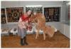 <img src='img' alt='практика' />