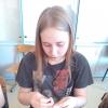 <img src='img' alt='мастер-класс' />