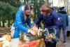<img src='img' alt='Гарбузовыфэст БДПУ. Частка-2' />