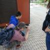 <img src='1gj4' alt='fotoplenar'>