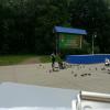 <img src='1gj4' alt='fotoplenar'>
