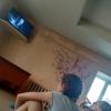 <img src='img' alt='Лагерь Борок' />
