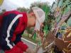 <img src='img' alt='Лагерь Борок' />