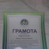 <img src='jpg' alt='Борок' />