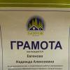 <img src='jpg' alt='Борок' />