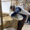<img='img' alt='Фестиваль радость' />