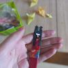 <img src='img' alt='Волонтеры' />