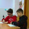 <img src='img' alt='Музей' />