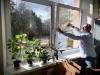 <img src='img' alt='Субботник' />