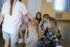 <img src='img' alt='Палитра' />