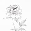 <img src='img' alt='Этюдник' />