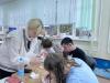 <img src='img' alt='Волонтерство' />
