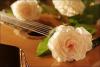 <img src="img" alt="День гитариста" />