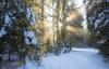 <img src="img" alt=Рождественский вернисаж - 2025" />