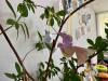 <img src="img" alt="мастер-класс" />