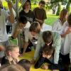 <img src="img" alt="борок 14" />