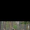 <img src="img" alt="спутник 15" />