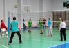 <img='vol' alt='volleyball'>