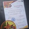 <img src="img" alt="Нижникова грамоты" />