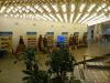 <img src='IMG_5329' alt='Дни молодежи Азербайджанской Республики' />