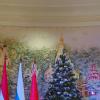 <img src="img" alt="выступление 08.01" />