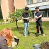<img src="img" alt="Алея выпускников" />