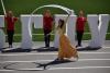 <img src='IMG_5329' alt='Белорусиада' />