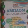 <img src='45a' alt='Летний оздоровительный лагерь «Борок»' />