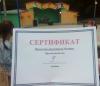 <img src='45a' alt='Летний оздоровительный лагерь «Борок»' />